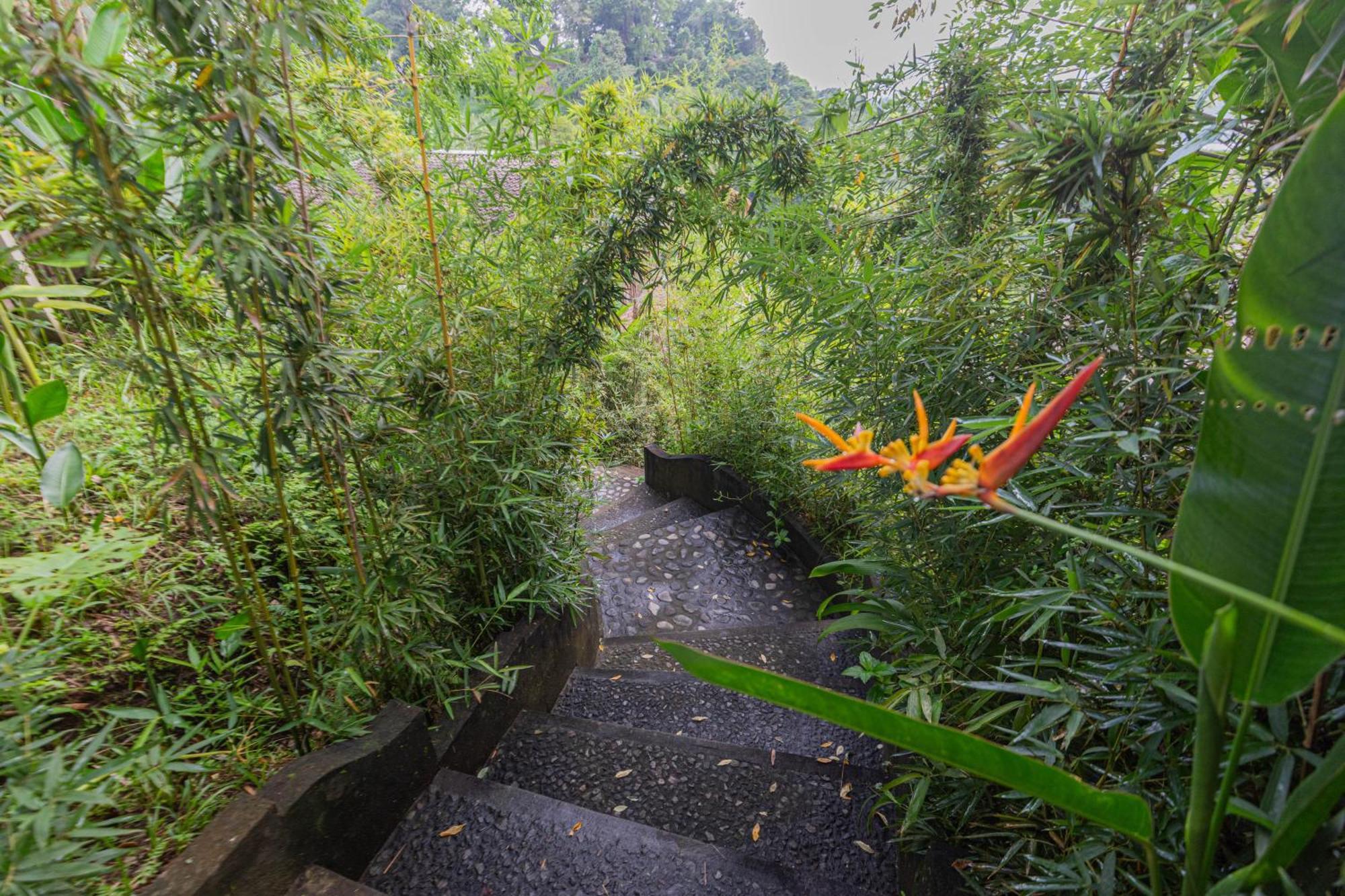 Villa Shigar Livin Bali Sidemen  Esterno foto
